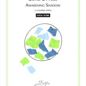 Awakening Shadow [réduction piano]